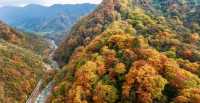 光霧山賞秋指南｜附自由行攻略+避坑指南