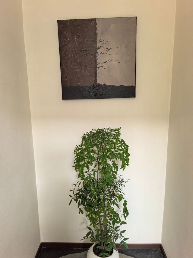 束河古鎮絕美秘境！躺看玉龍雪山的智能民宿