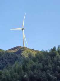 在仰天湖住進山林嘅詩意民宿，將日子過成嚮往嘅生活