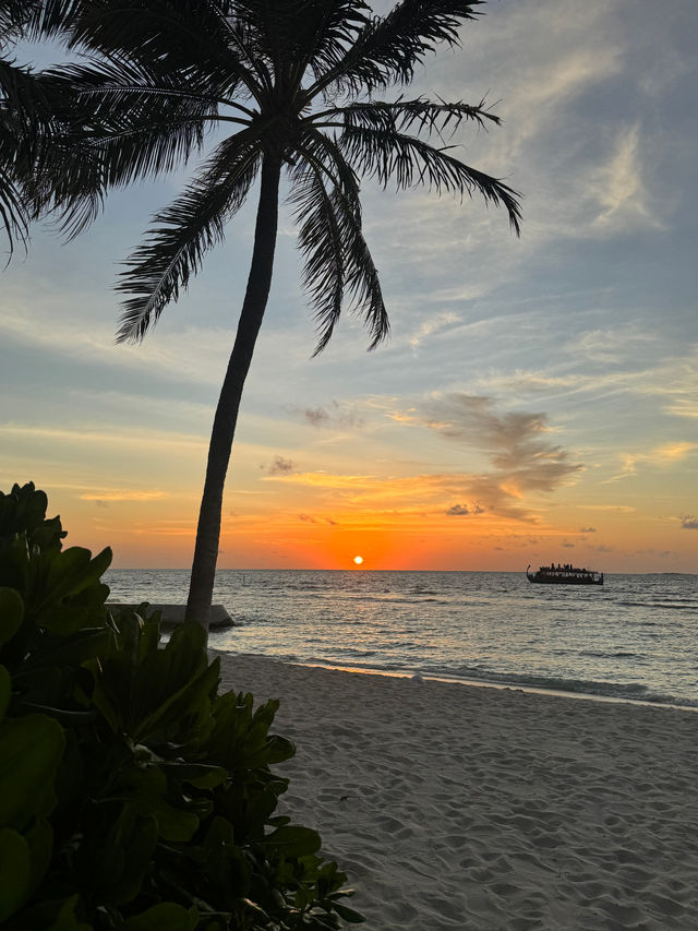 Honeymoon Bliss in the Maldives