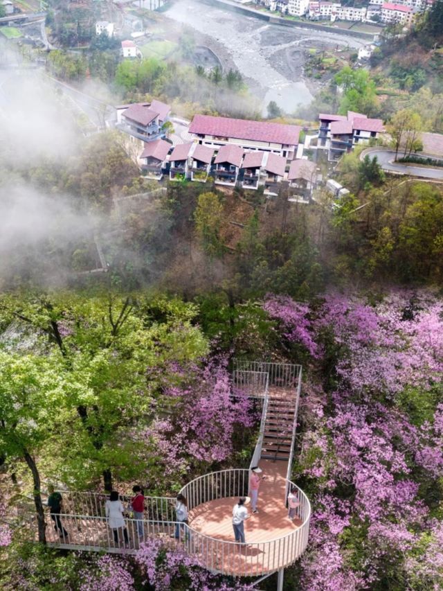 安康茶山下的小院民宿已美到next level..