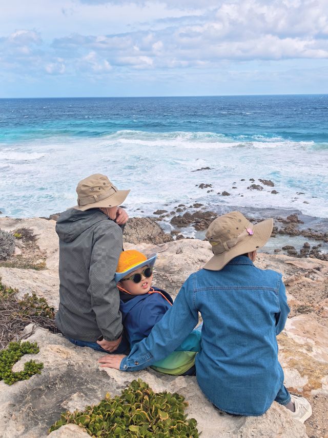 西澳D2:Cape Naturaliste懸崖海景