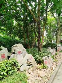 柳州人的秘密天堂柳侯公園的隱藏玩法大公開！