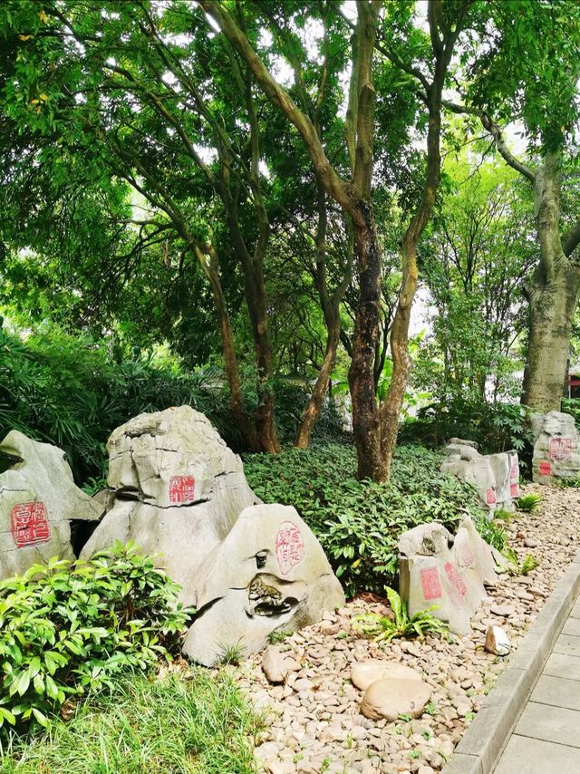 柳州人的秘密天堂柳侯公園的隱藏玩法大公開！