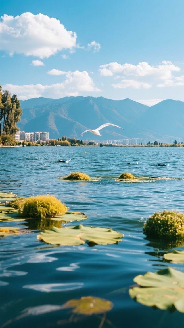 此生必去的寶藏旅遊之地，雲南攻略