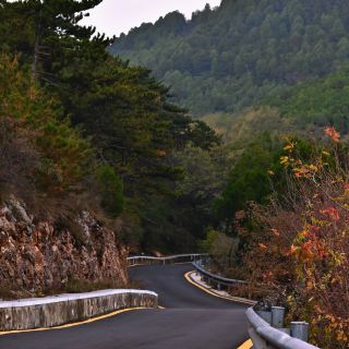 The autumn mood is rich, encountering the poetic golden autumn of Changzhi