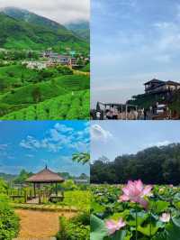河南信陽:被低估的寶藏旅遊攻略