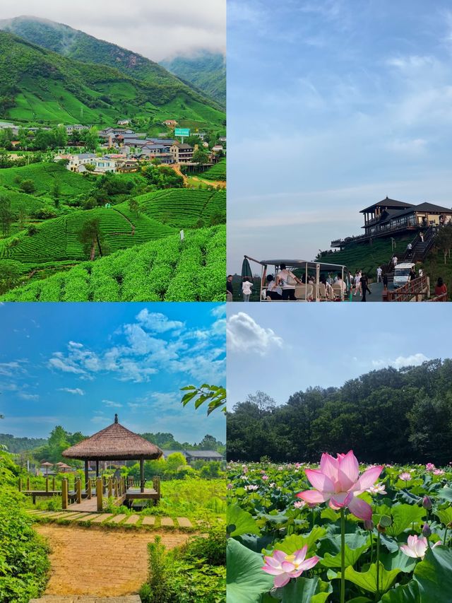 河南信陽:被低估的寶藏旅遊攻略 河南信陽:被低估的寶藏旅遊攻略
