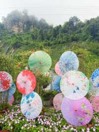 重慶江邊的懸崖花園!花和江景都看醉了
