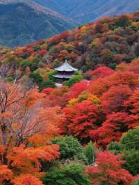 崆峒山的秋