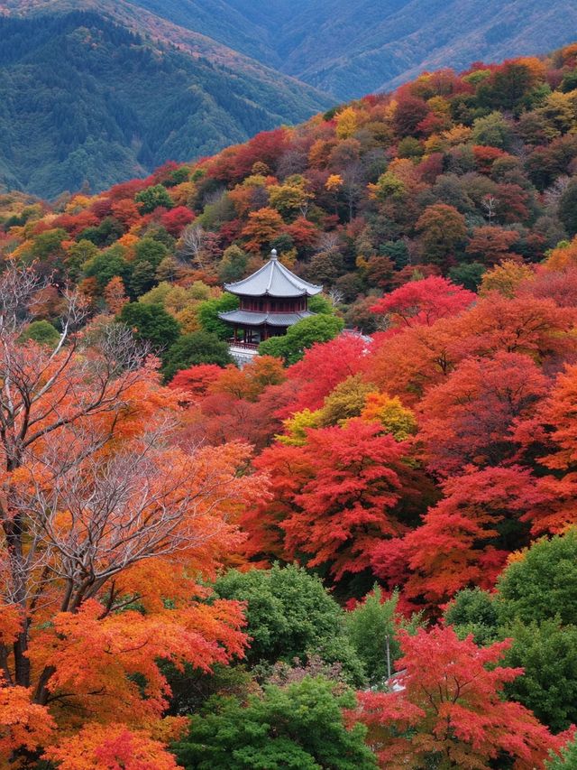 崆峒山的秋 崆峒山的秋