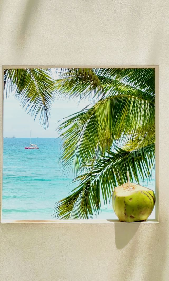 海南8天3城躺平攻略這才是真正的果凍海! 海南8天3城躺平攻略這才是真正的果凍海!