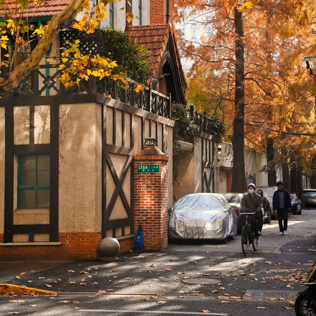 🍂상하이의 가을, 이 도시를 사랑하는 이유