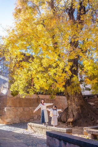 가을에 윈난성 깊숙이 숨겨진 샤시는 얼마나 아름다울까요?