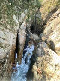 大海旁一雙會說話的眼睛✨鹽田棧道海景打卡神地🌊