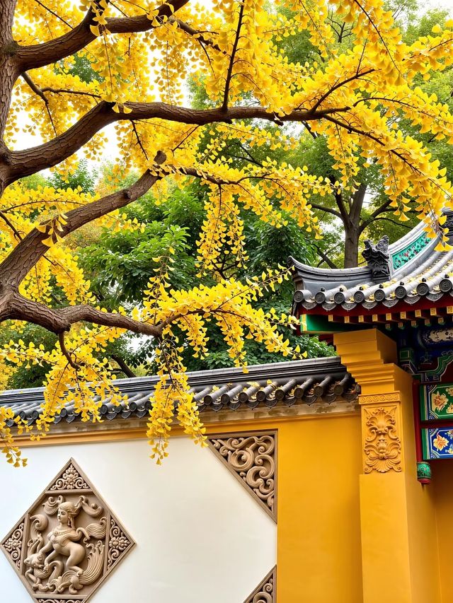 震驚！甘肅這座千年古城竟然藏了這些秘密！