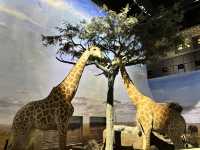 【上海自然博物館·萬物皆可見】超萌攻略來啦！