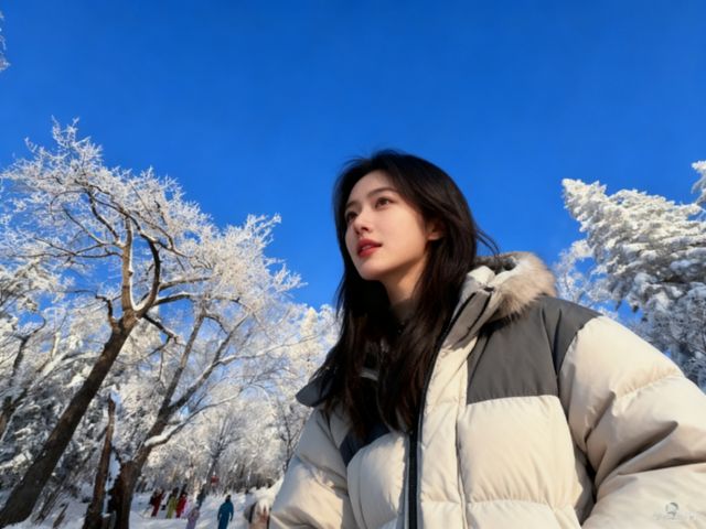 冬日霧淞奇遇記