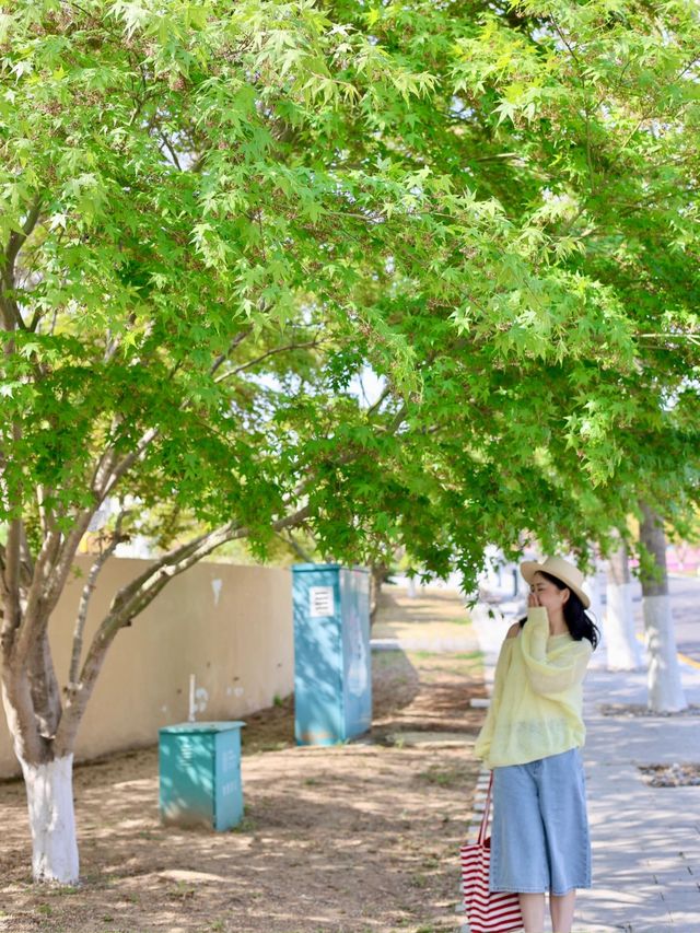 青島9大天然氧吧大公開拍照吸氧兩不誤！