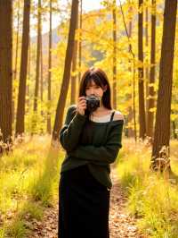 唔好再去擠九寨溝啦！我搵到一個藏喺甘肅天水嘅「隴上小九寨」！