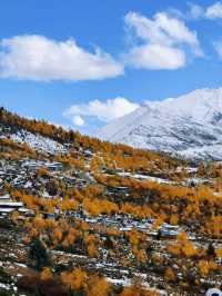 川西冬日天花板！木格措靚到令人詞窮