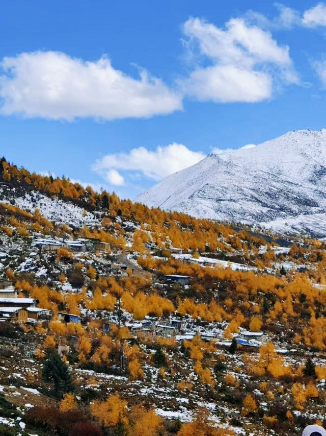 川西冬日天花板！木格措靚到令人詞窮