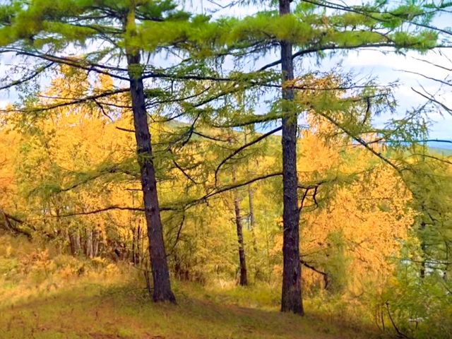《秋日限定!阿爾山森林公園3天打卡秘笈》 《秋日限定!阿爾山森林公園3天打卡秘笈》