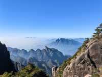 聽我的，不費腿看美景