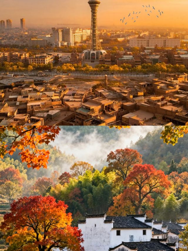 南疆胡楊秘境攻略 南疆胡楊秘境攻略