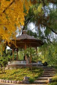 本週北京賞秋的尾巴，倒數計時！還有10處選擇