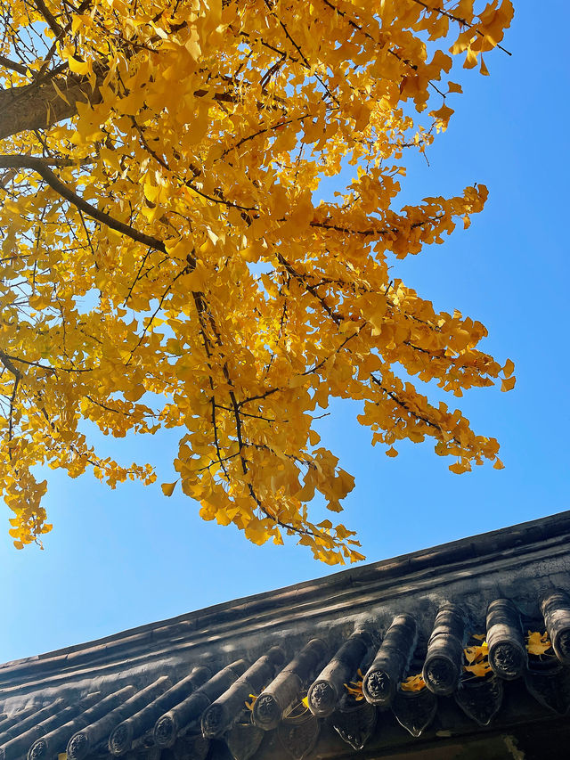 初冬·暖陽·古剎 初冬·暖陽·古剎