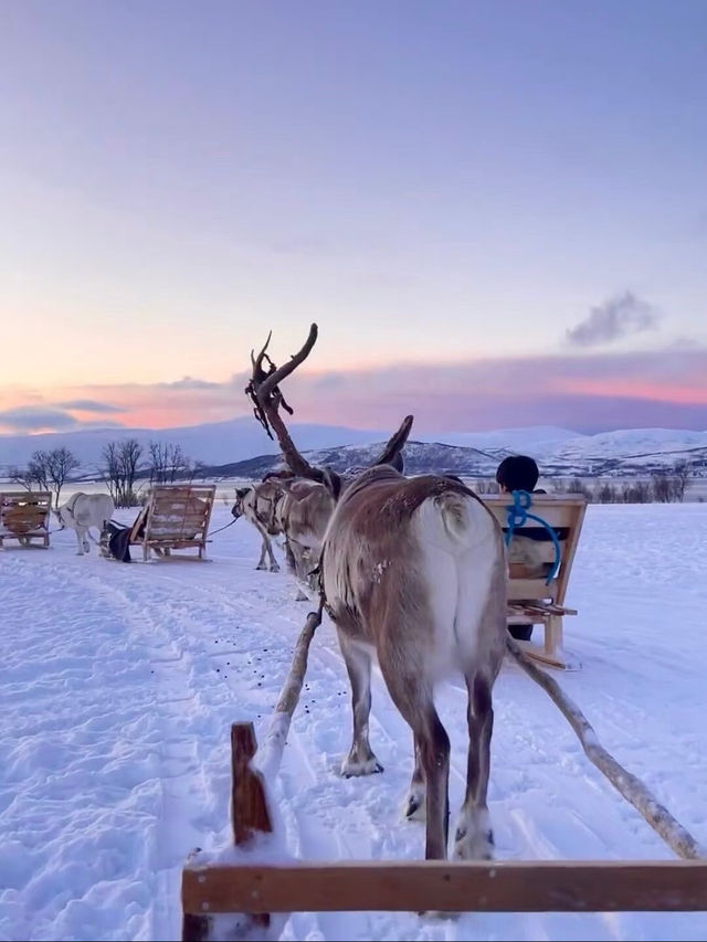 長白山live|人生必看絕美日落，誤入芬蘭雪境～