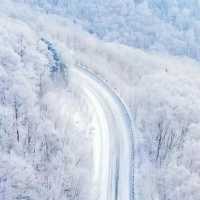 漠河冬日童話|寒假親子遊必打卡攻略