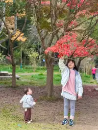 成都自駕出發,5天4夜!張家界親子遊全攻略