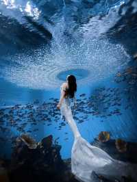 秋遊三亞包車打卡超chill行程