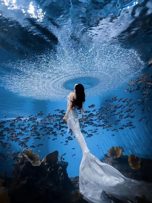 秋遊三亞包車打卡超chill行程