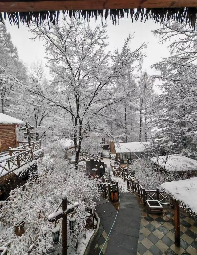 長白山雪景溫泉酒店