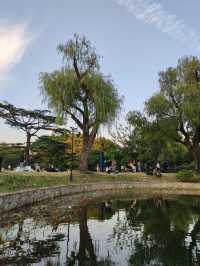 上海·秋冬銜接的中山公園