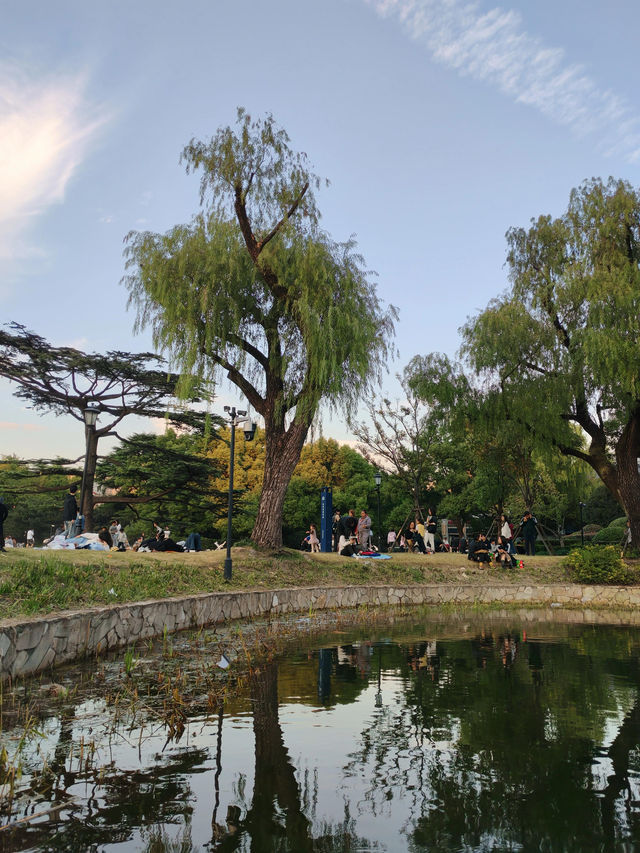 上海·秋冬銜接的中山公園 上海·秋冬銜接的中山公園
