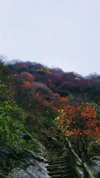 金龍峽徒步｜秦嶺秘境｜人少景美｜新手天堂