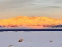 18張圖記錄我的賽里木湖庫爾德寧冰雪之旅