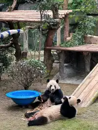 西安周邊遊|重慶攻略～路線不繞路+出片率