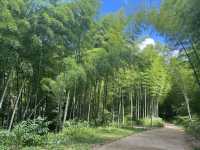 呼狗崖真的是一個敢險要一個又敢玩|再也不去了