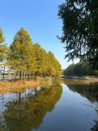 杭州灣濕地公園——承包我對秋冬的所有浪漫