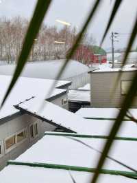 北海道，將迎來封神級別的冬天