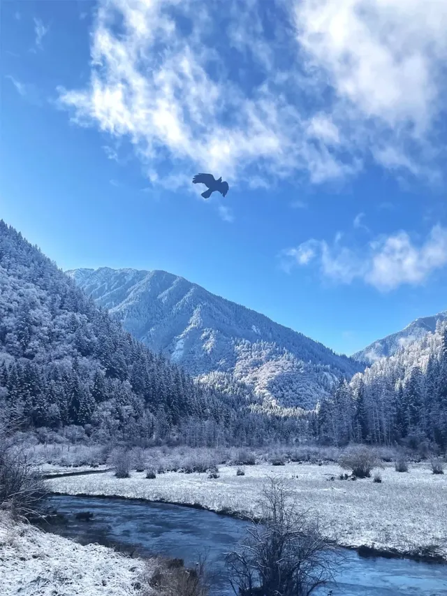 11.20九寨溝現狀，真心提醒未出行的寶