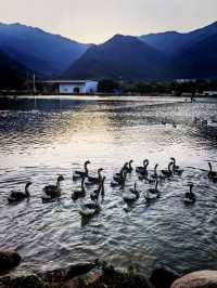 肇慶寶藏露營地！SOUL營躺平也太爽了吧