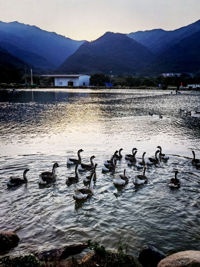 肇慶寶藏露營地！SOUL營躺平也太爽了吧