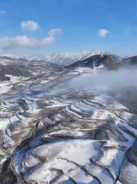 曲靖等地攻略來啦老友出行必看超讚