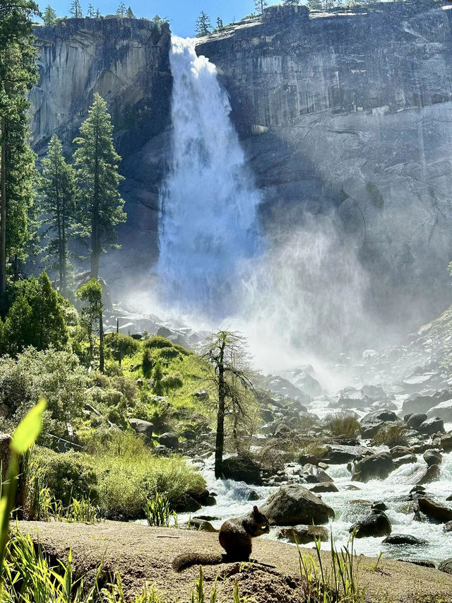 4天加拿大深度遊一篇攻略全搞定 4天加拿大深度遊一篇攻略全搞定